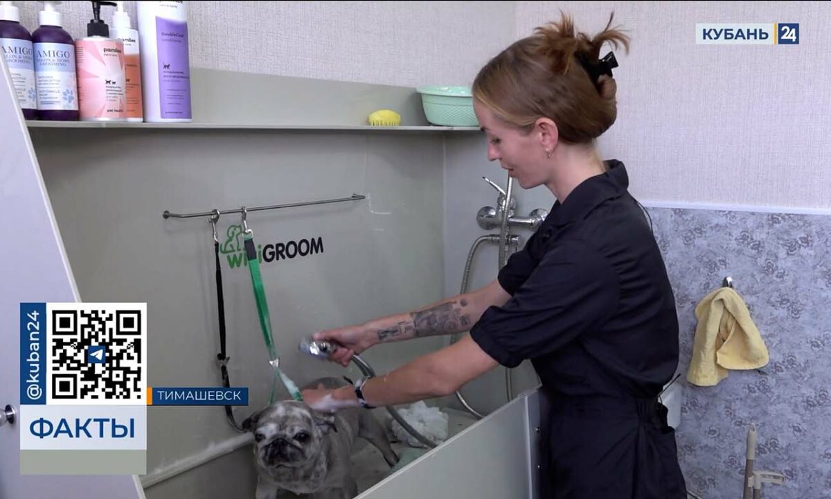 На соцконтракты в Краснодарском крае в 2025 году направят 1,7 млрд рублей