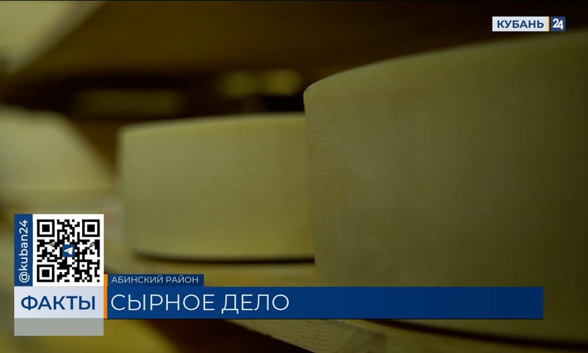Экспорт произведенного на Кубани сыра в 2025 году вырос почти на 17%