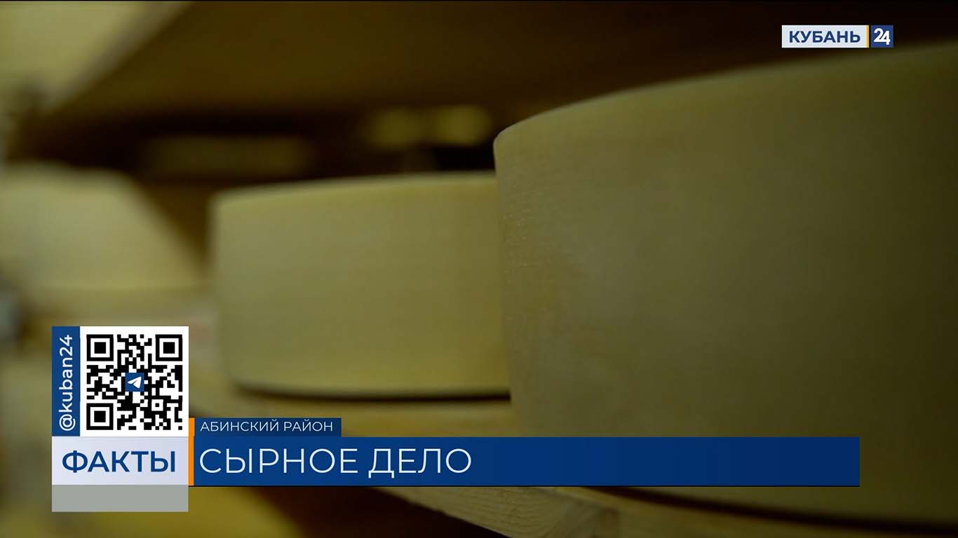 Экспорт произведенного на Кубани сыра в 2025 году вырос почти на 17%