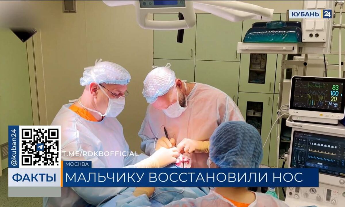 На восстановление лица покусанного хаски мальчика из Сочи потребуется пять лет