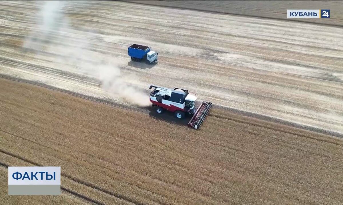 Почвенную засуху подтвердили в 13 районах Краснодарского края