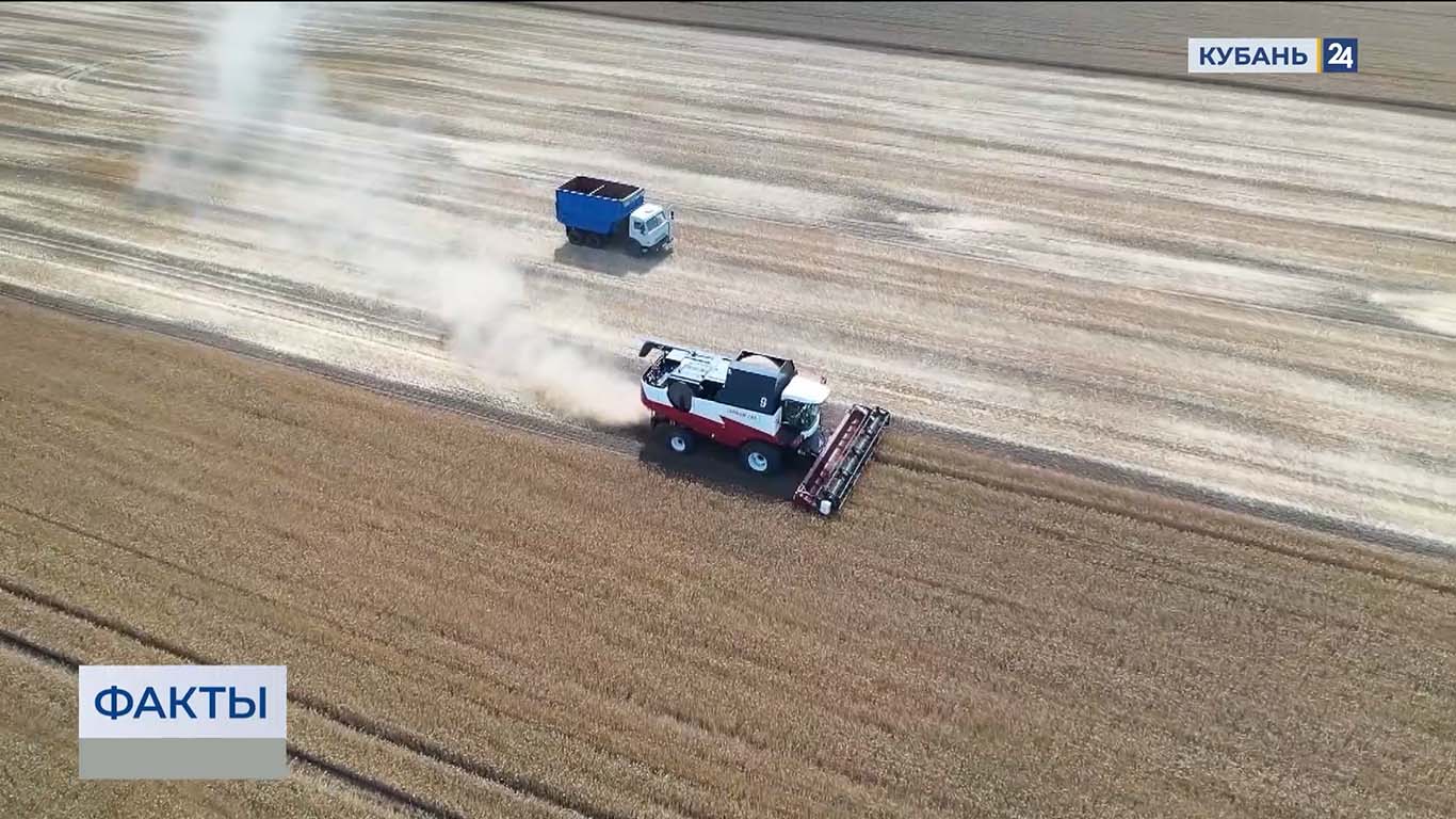 Почвенную засуху подтвердили в 13 районах Краснодарского края