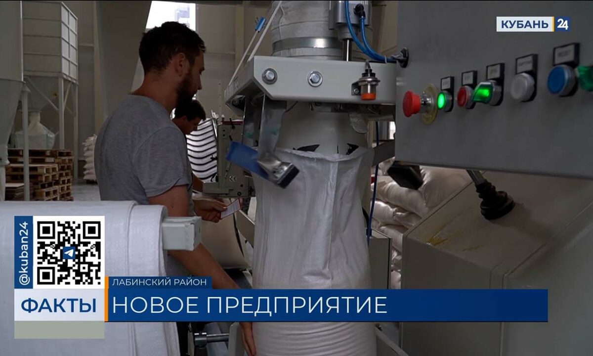 Завод по переработке кукурузы заработал на полную мощность в Лабинском районе
