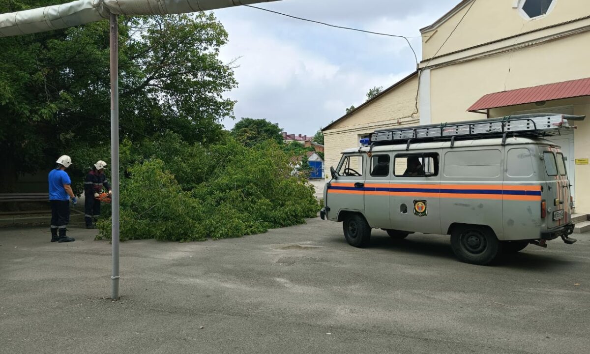 В Армавире штормовой ветер в выходные вырвал с корнем 25 деревьев