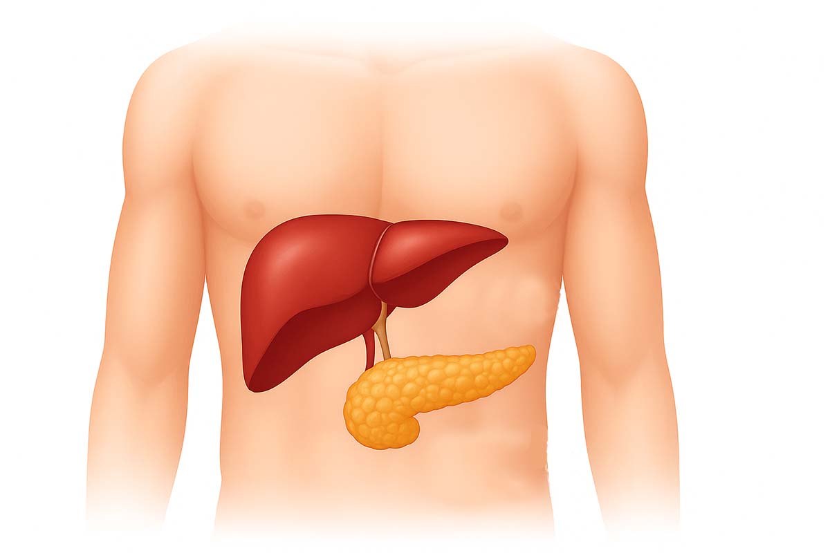 Пять важных признаков, что пора проверить поджелудочную