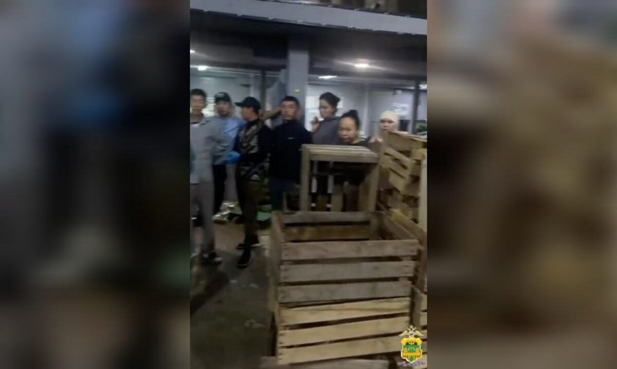 На складе овощей в Краснодаре обнаружили 7 нелегальных фасовщиков-мигрантов