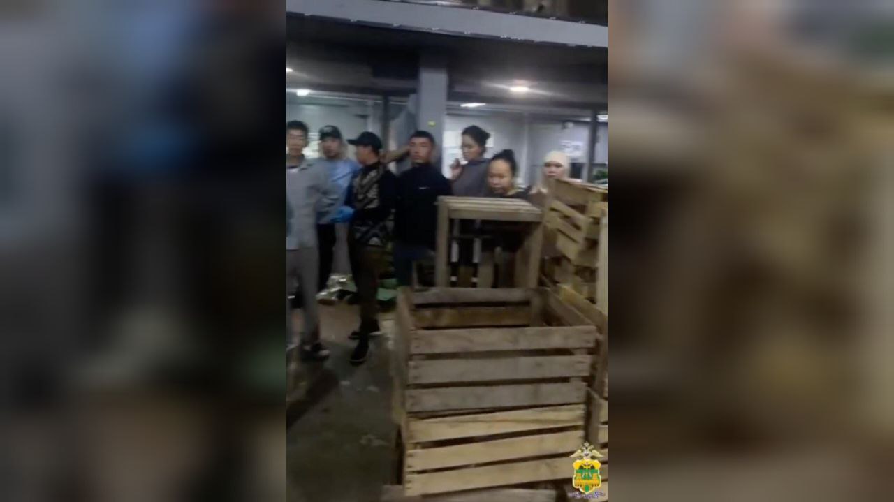 На складе овощей в Краснодаре обнаружили 7 нелегальных фасовщиков-мигрантов
