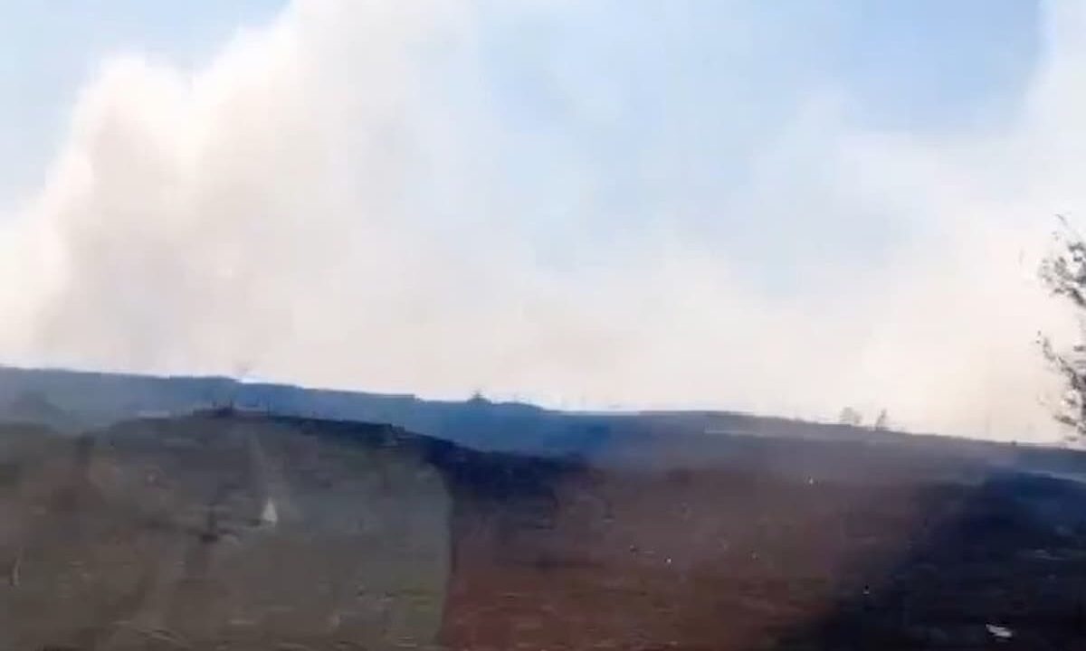 Кукурузное поле загорелось в Кропоткине