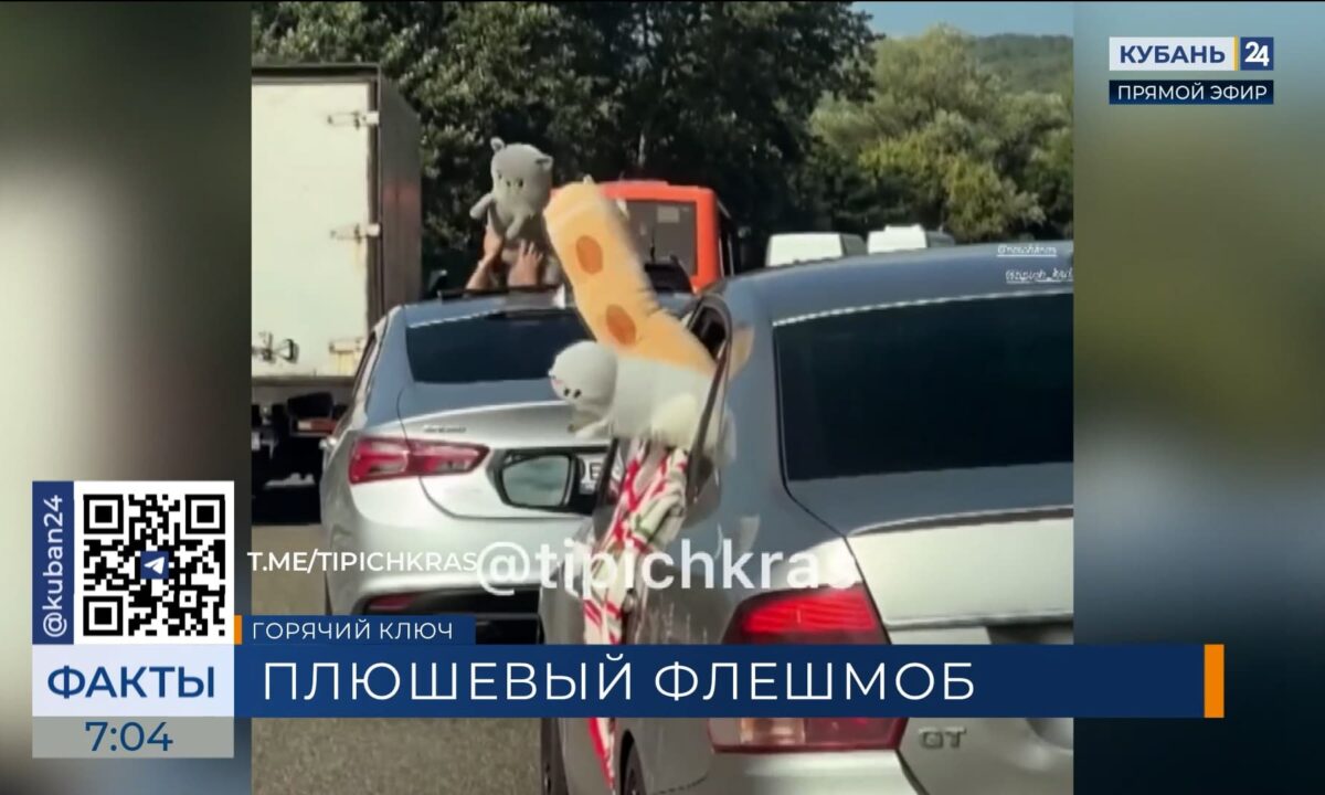 На Кубани в пробке к морю водители устроили спонтанный флешмоб с мягкими котами