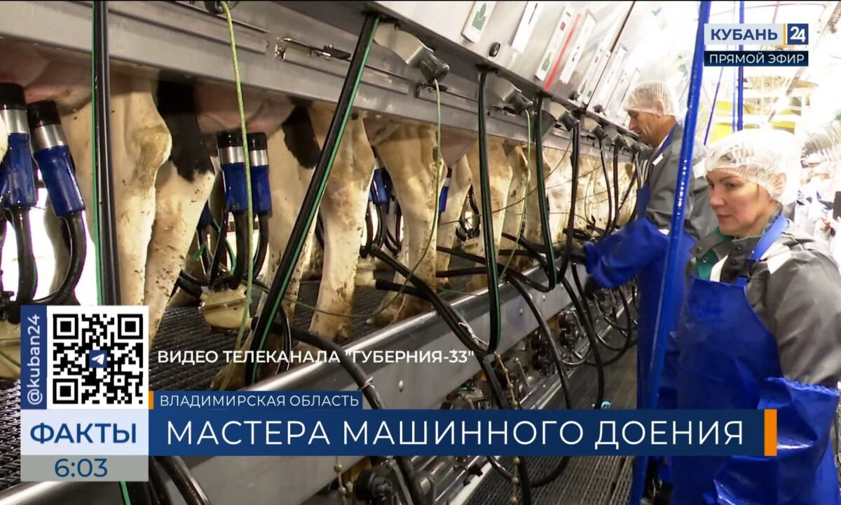 Кубанские доярки представляют регион на всероссийском конкурсе в Суздале