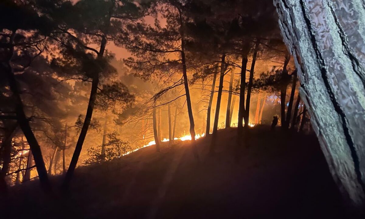 Лесной пожар площадью 1 га разгорелся в районе Голубой Бездны в Геленджике