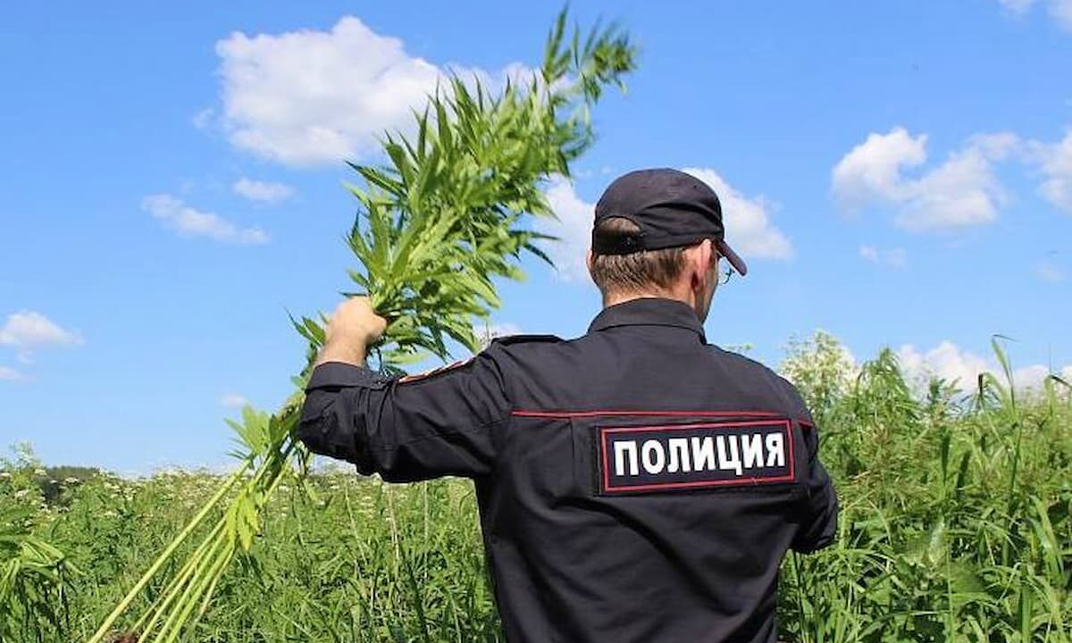 Первый этап профилактической операции «Мак» стартует на Кубани 18 августа
