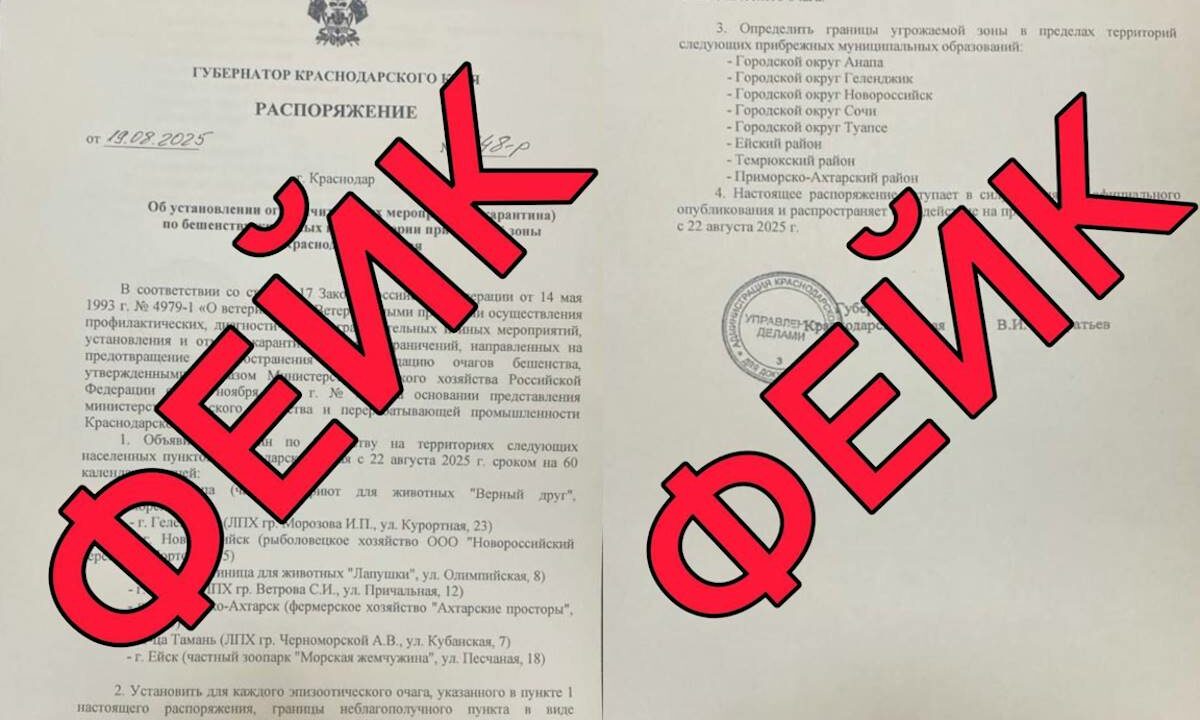 Оперштаб Кубани опроверг информацию о введении карантина по бешенству