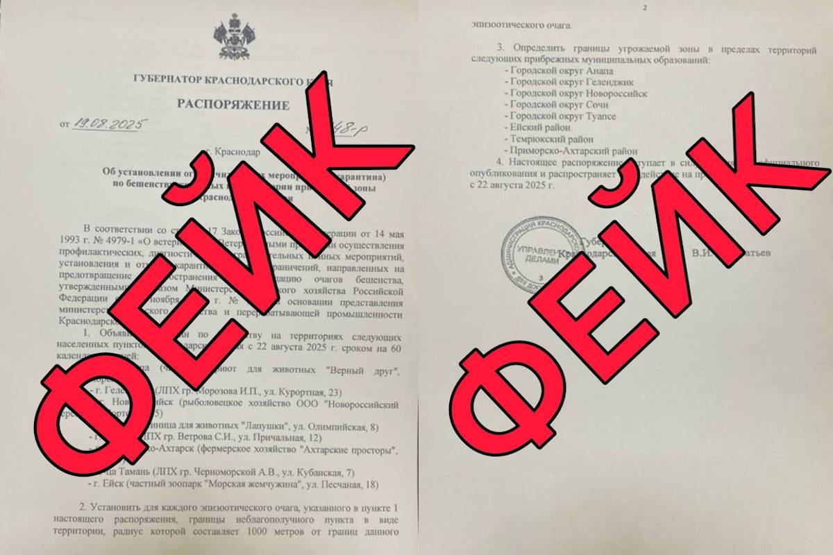 Оперштаб Кубани опроверг информацию о введении карантина по бешенству