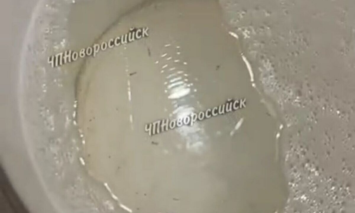 Жители Южного района Новороссийска пожаловались на воду с «головастиками»