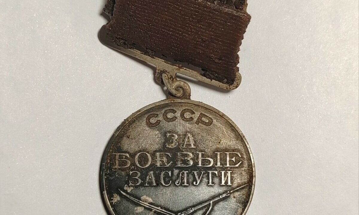 Останки погибшего в годы войны кубанского бойца нашли в Новгородской области