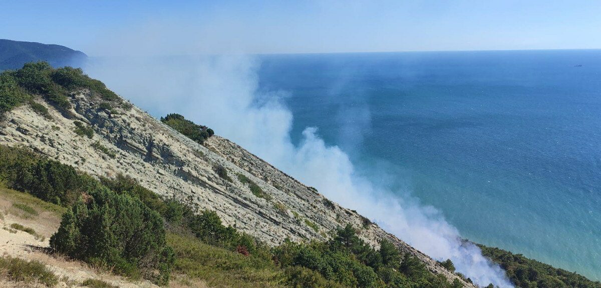 Лесной пожар в районе села Варваровка под Анапой локализовали