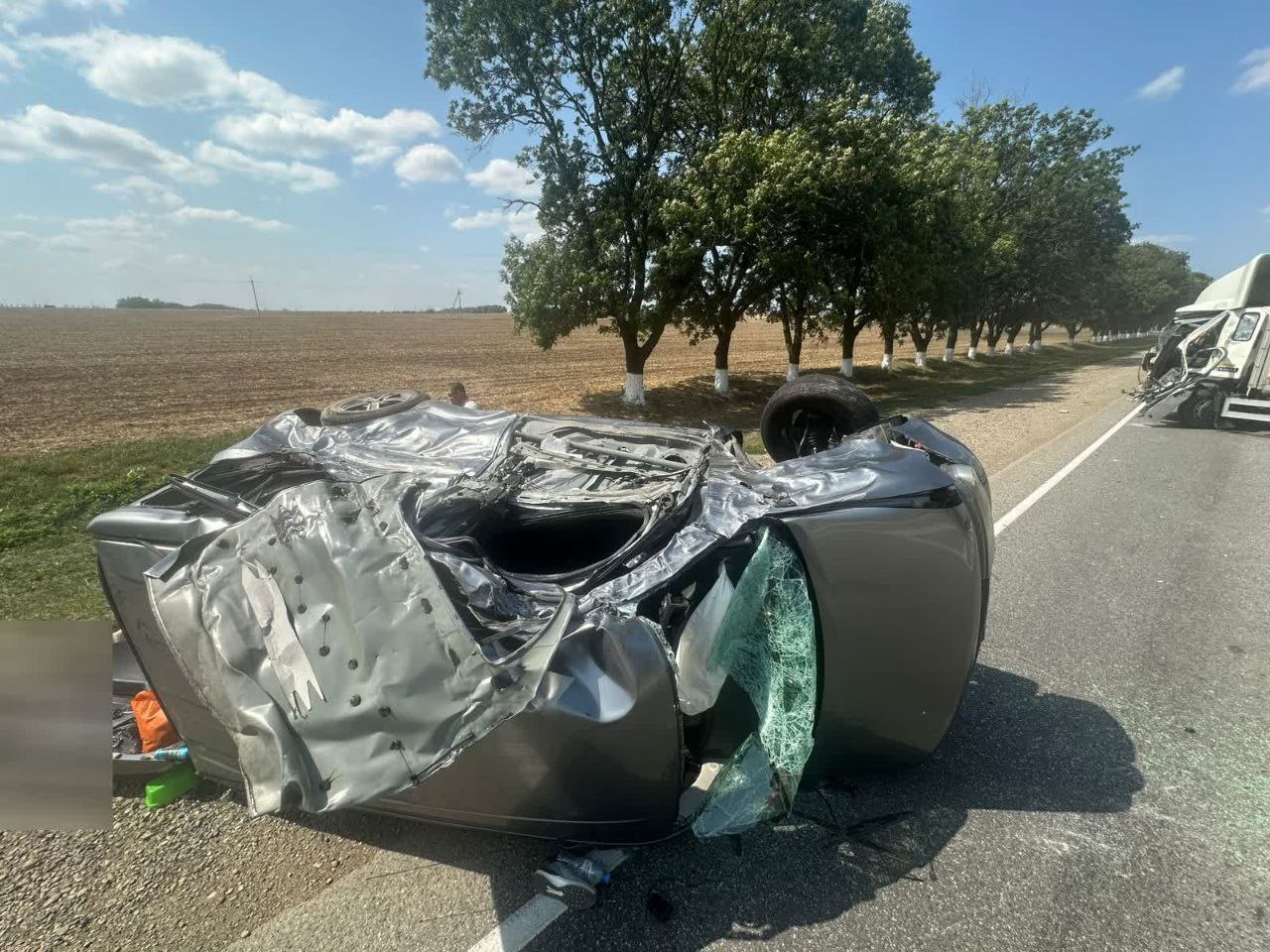 Один ребенок погиб и двое пострадали в ДТП с грузовиком в Успенском районе