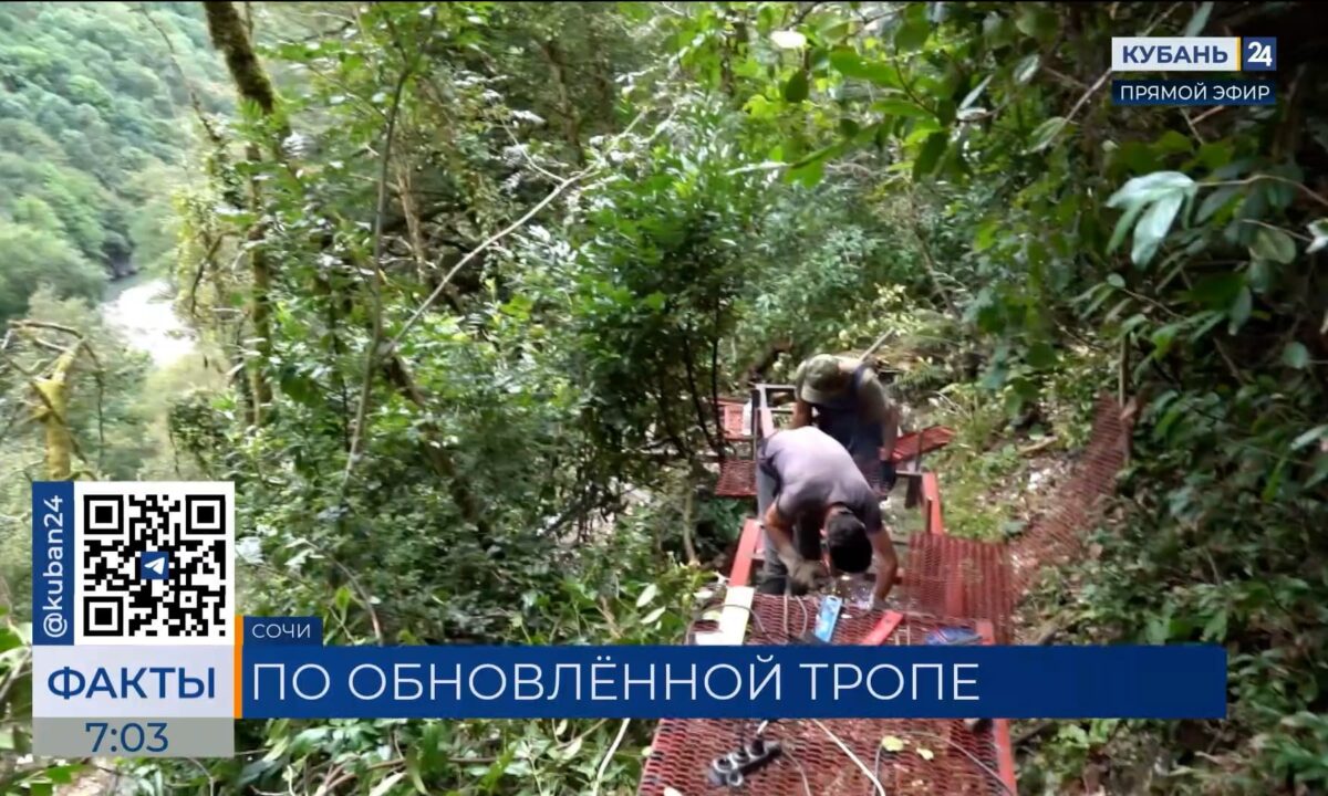 В Сочи ремонтируют участок туристического маршрута в Тисо-самшитовой роще