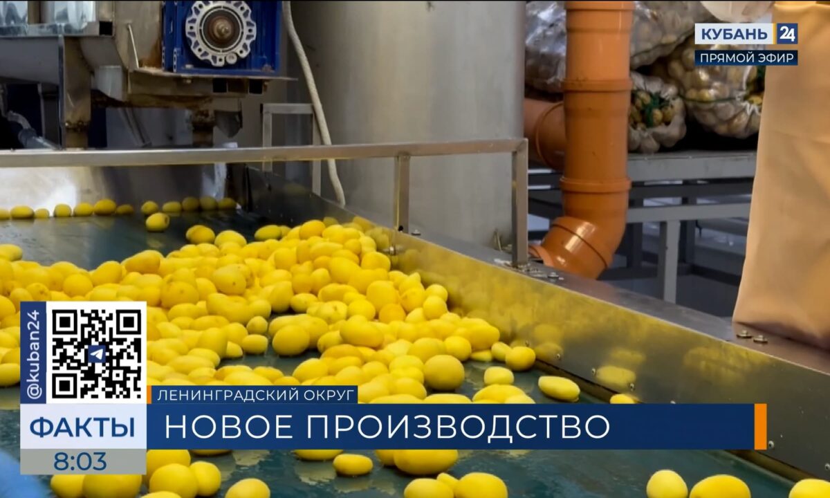 Производство очищенных овощей и готовых блюд запустили в Ленинградском округе