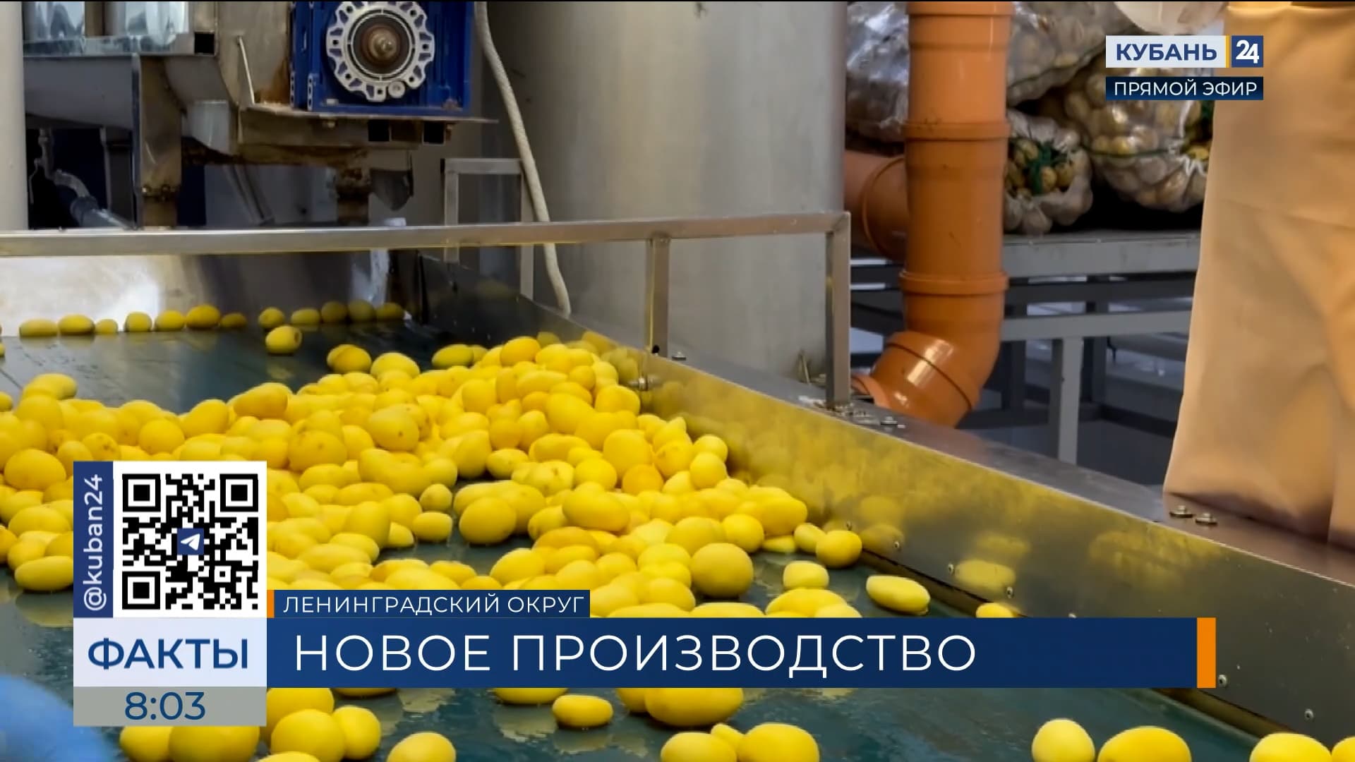 Производство очищенных овощей и готовых блюд запустили в Ленинградском округе