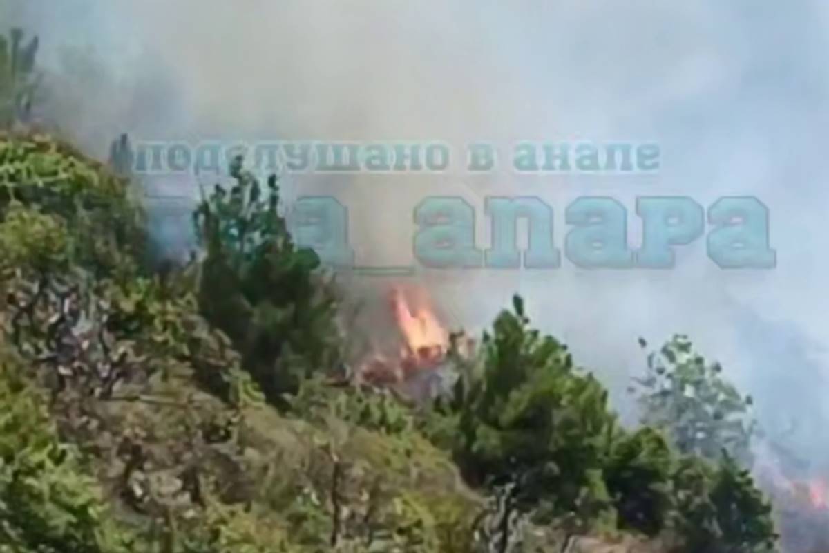 Лесной пожар площадью 1,5 га разгорелся в селе Варваровка под Анапой