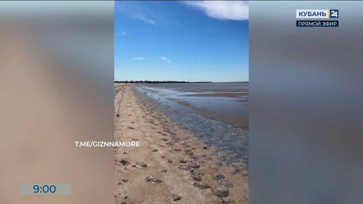 В Приморско-Ахтарске Азовское море ушло от берега на сотни метров