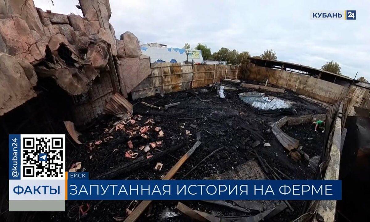 Рептилии могли погибнуть при пожаре в «Крокодиловом каньоне» в Ейске. «Факты»