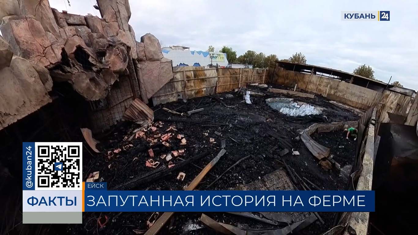 Рептилии могли погибнуть при пожаре в «Крокодиловом каньоне» в Ейске. «Факты»