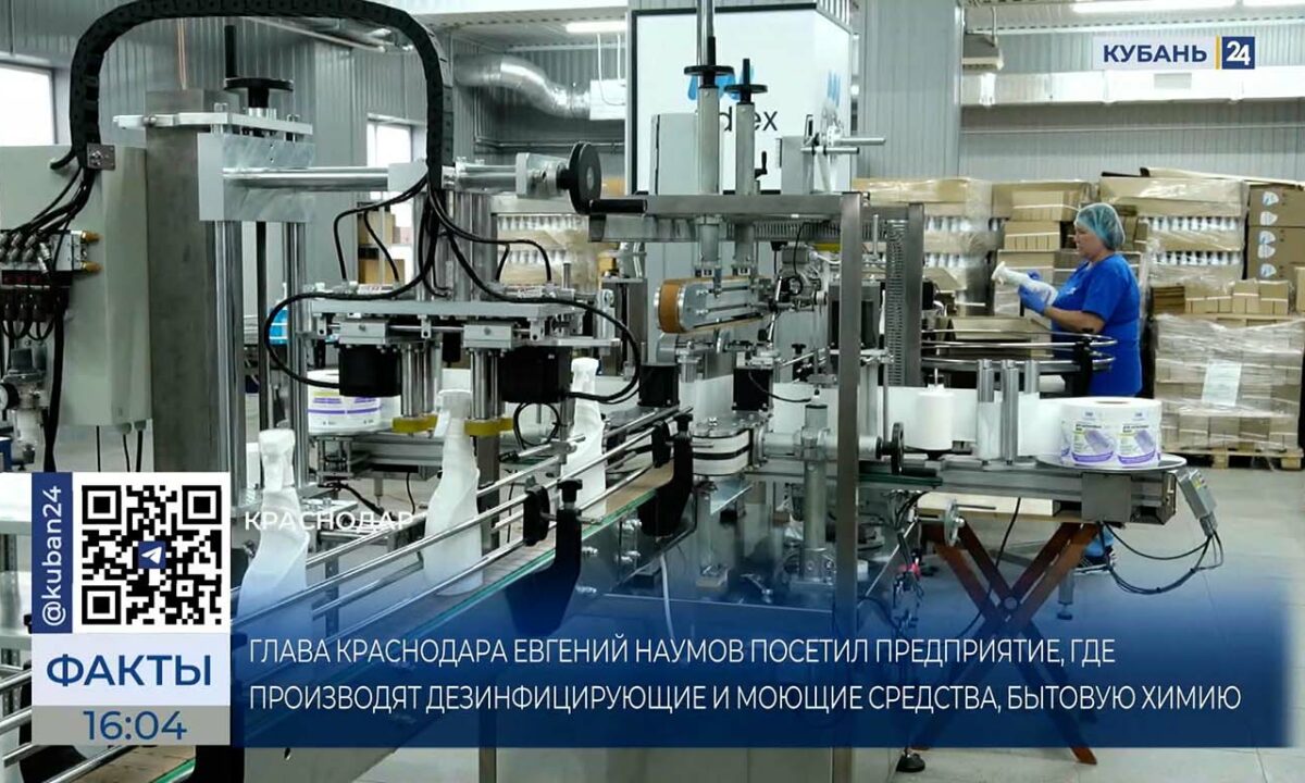 Наумов: производитель бытовой химии в Краснодаре помогает приюту для животных