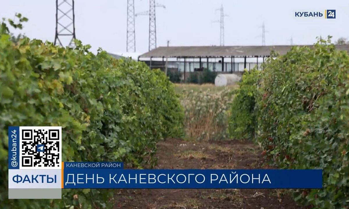 Каневскому району посвятили выпуск 24 сентября на телеканале «Кубань 24»