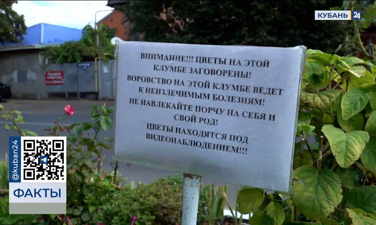 Суровое предупреждение заметили на клумбах на улице Фрунзе в Краснодаре