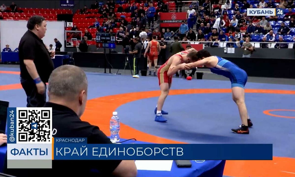 В Краснодарском крае единоборствами занимаются более 20 тыс. человек