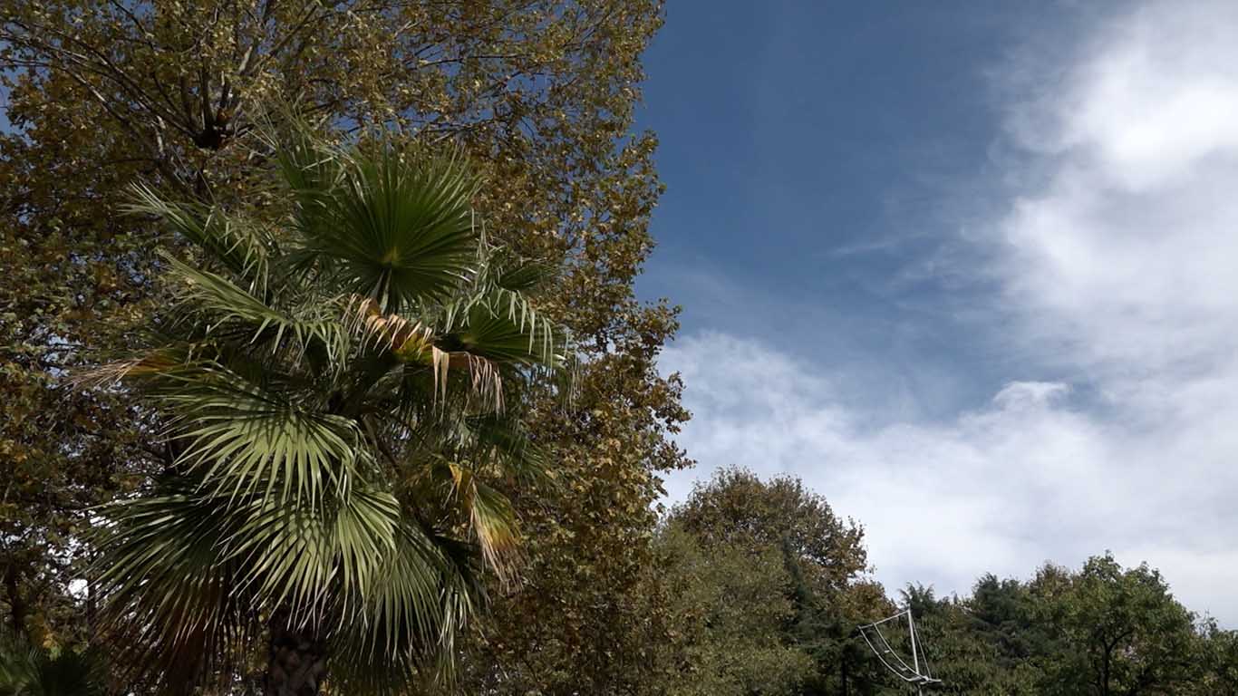 Синоптики рассказали, какой будет погода на Кубани во второй половине сентября