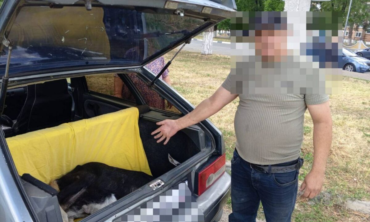Житель Армавира воровал коз, кур и металлолом из дворов соседей