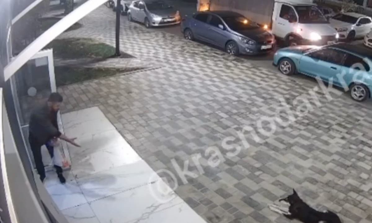 Полиция проверит сообщения о мужчине, угрожавшем ножом жителям ЖК в Краснодаре