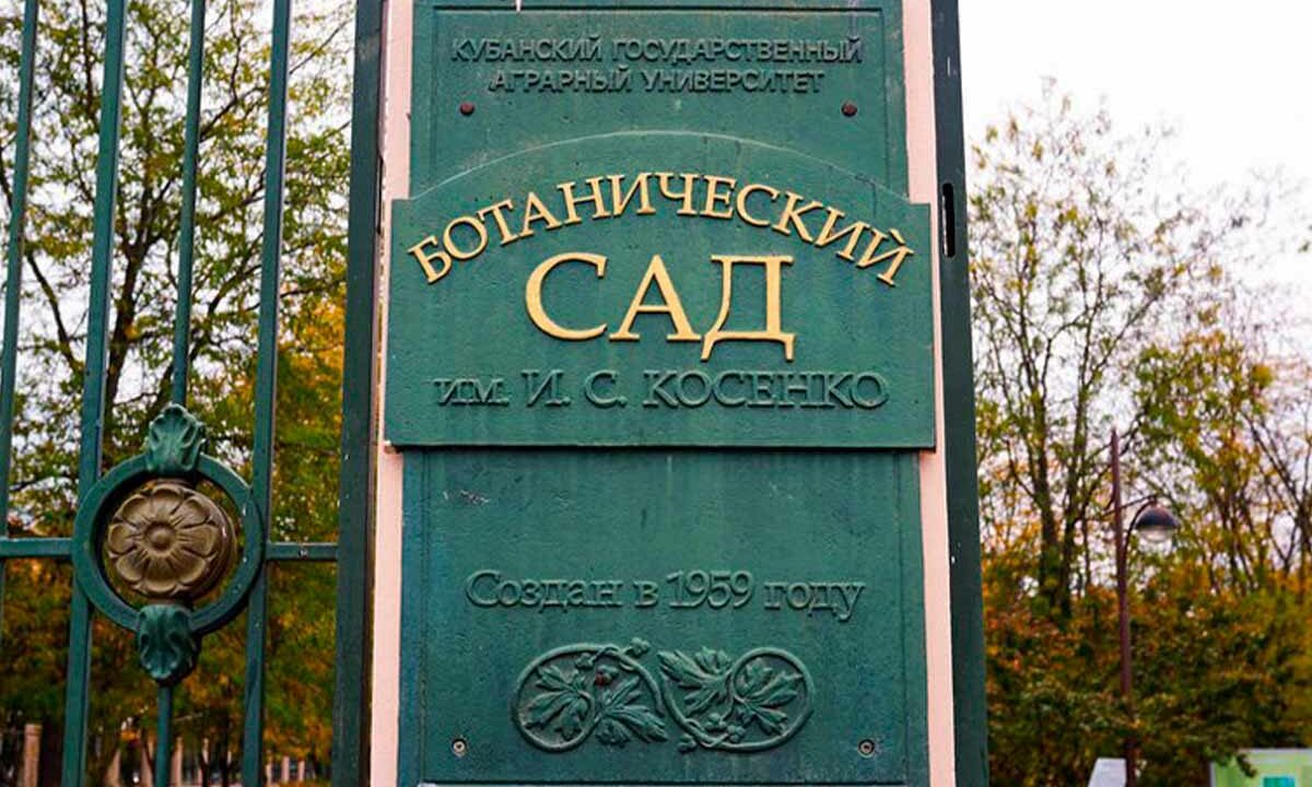В Краснодаре из-за усиления ветра закрыли для прогулок Ботанический сад