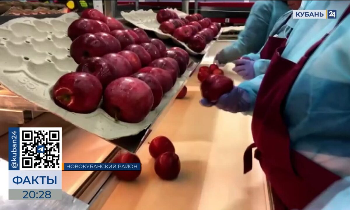 Новокубанскому району посвятили выпуск 17 сентября на телеканале «Кубань 24»