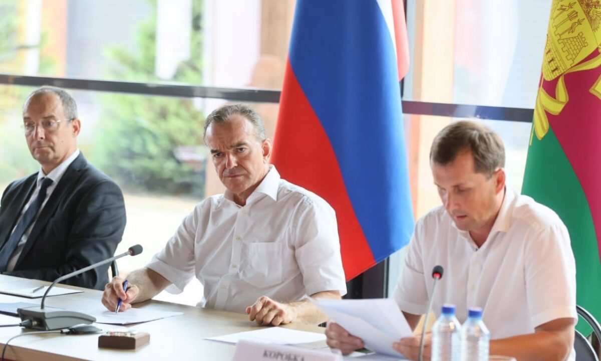 Объем господдержки виноградарей и виноделов вырос до 1,3 млрд рублей на Кубани