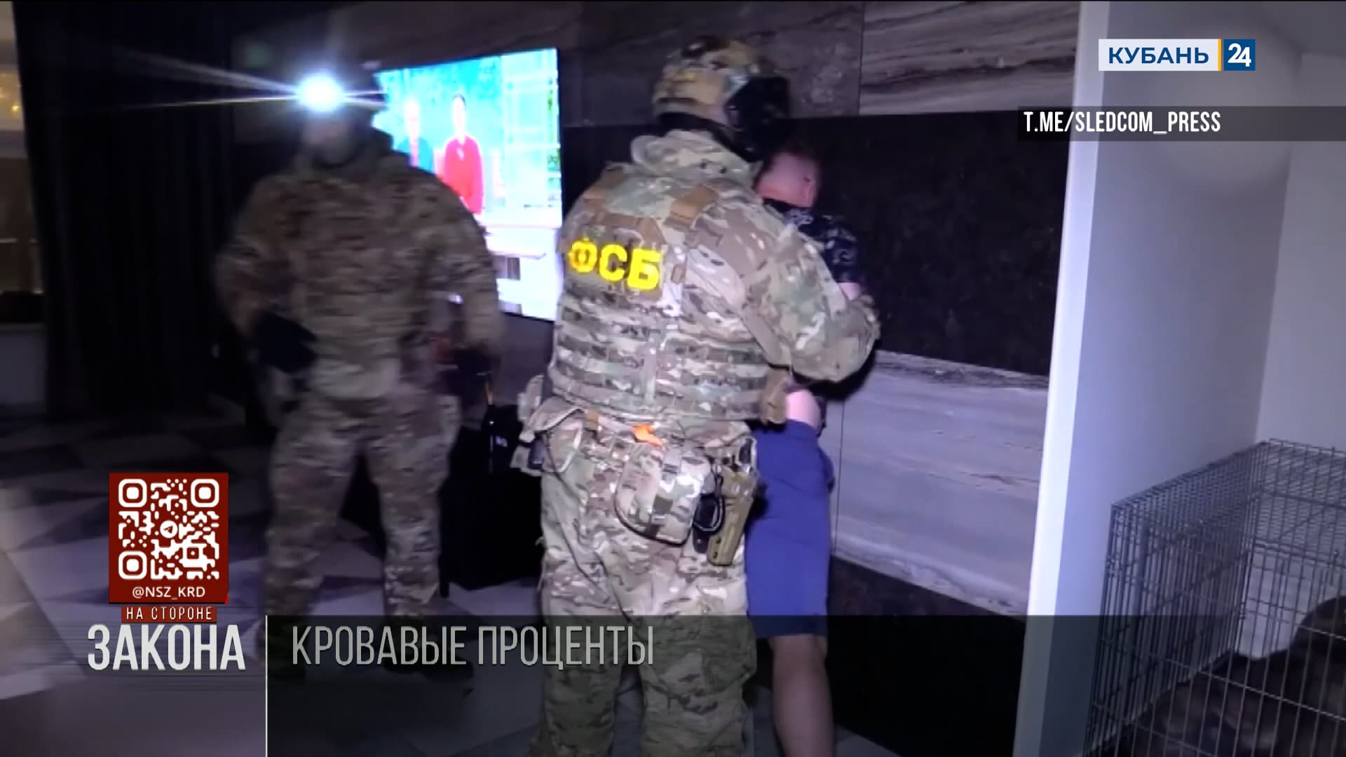 ФСБ и СК пресекли деятельность ОПГ, финансировавшей террористов