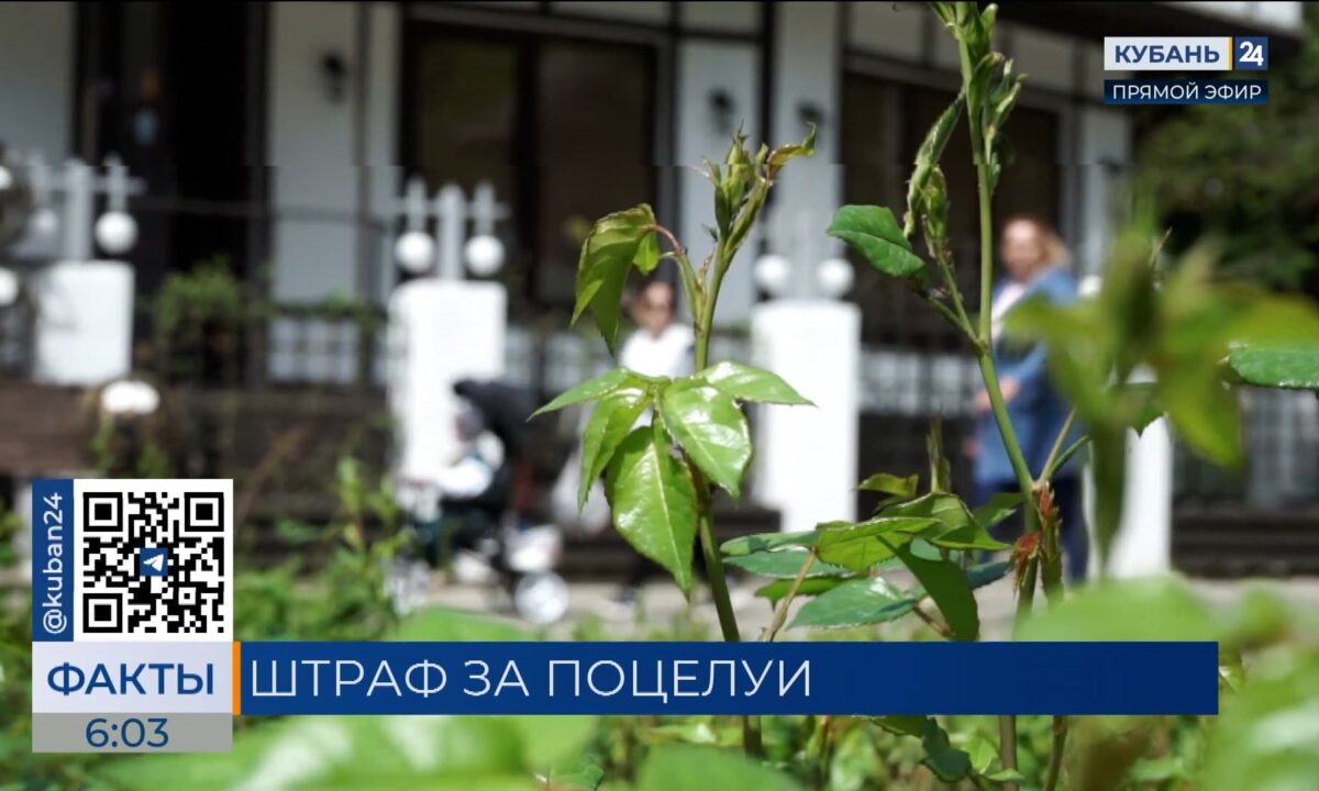 Россиянам напомнили о штрафах за поцелуи в общественных местах