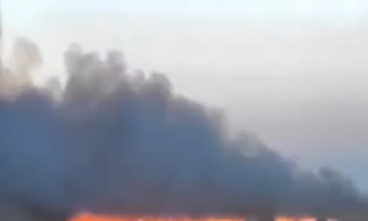 Плавни на площади 600 кв. метров загорелись в станице Благовещенской под Анапой