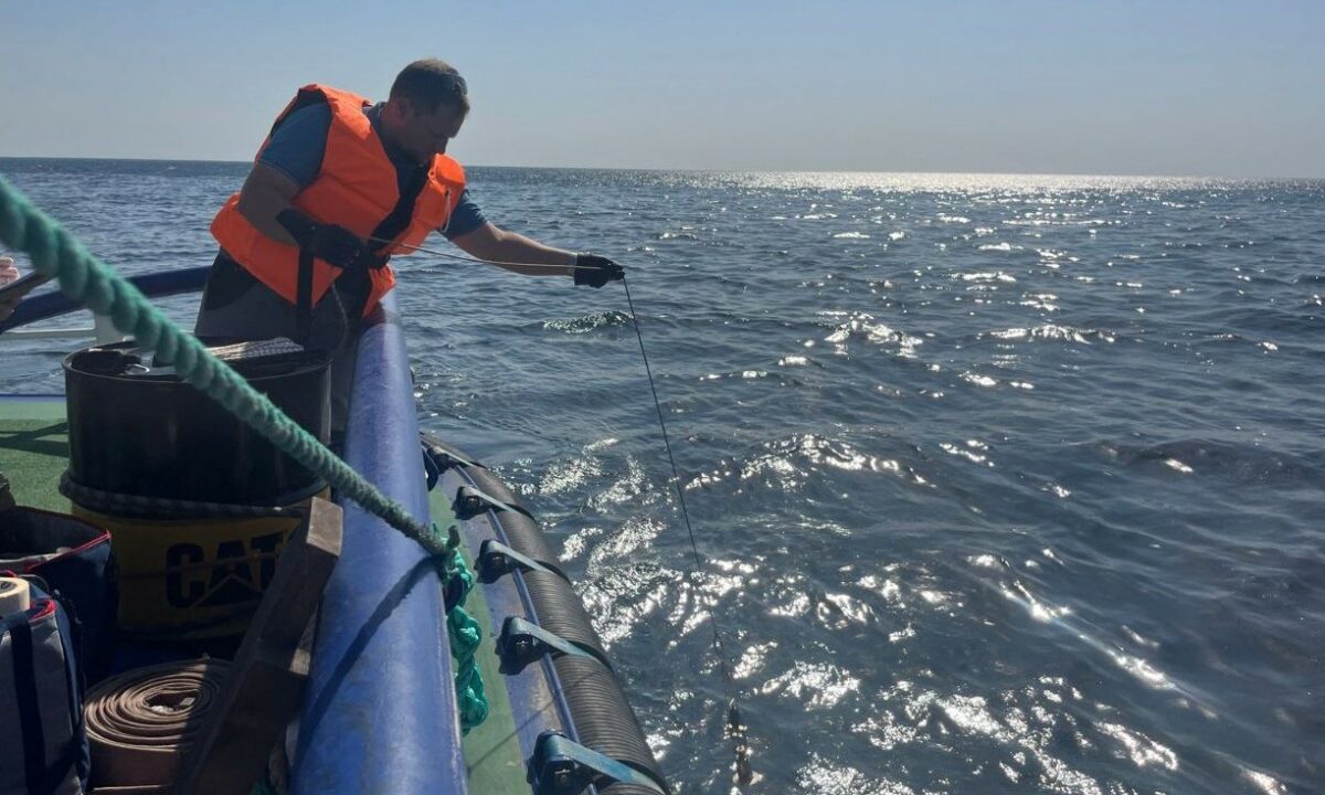 Экомониторинг не выявил загрязнений после разлива нефти в порту Новороссийска