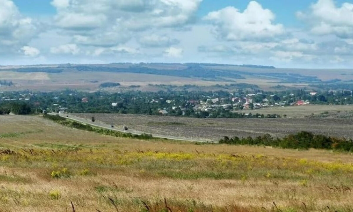 Под Анапой охотники отстрелили волка, нападавшего на скот фермеров