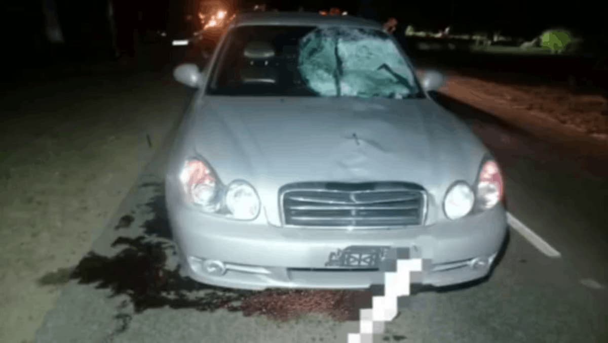 Пешеход погиб под колесами двух автомобилей в Брюховецком районе