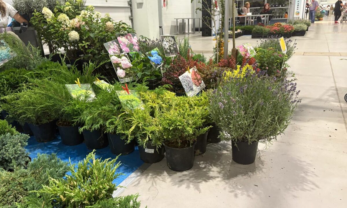 Ярмарка «Осень на даче» откроется 2 октября в Краснодаре