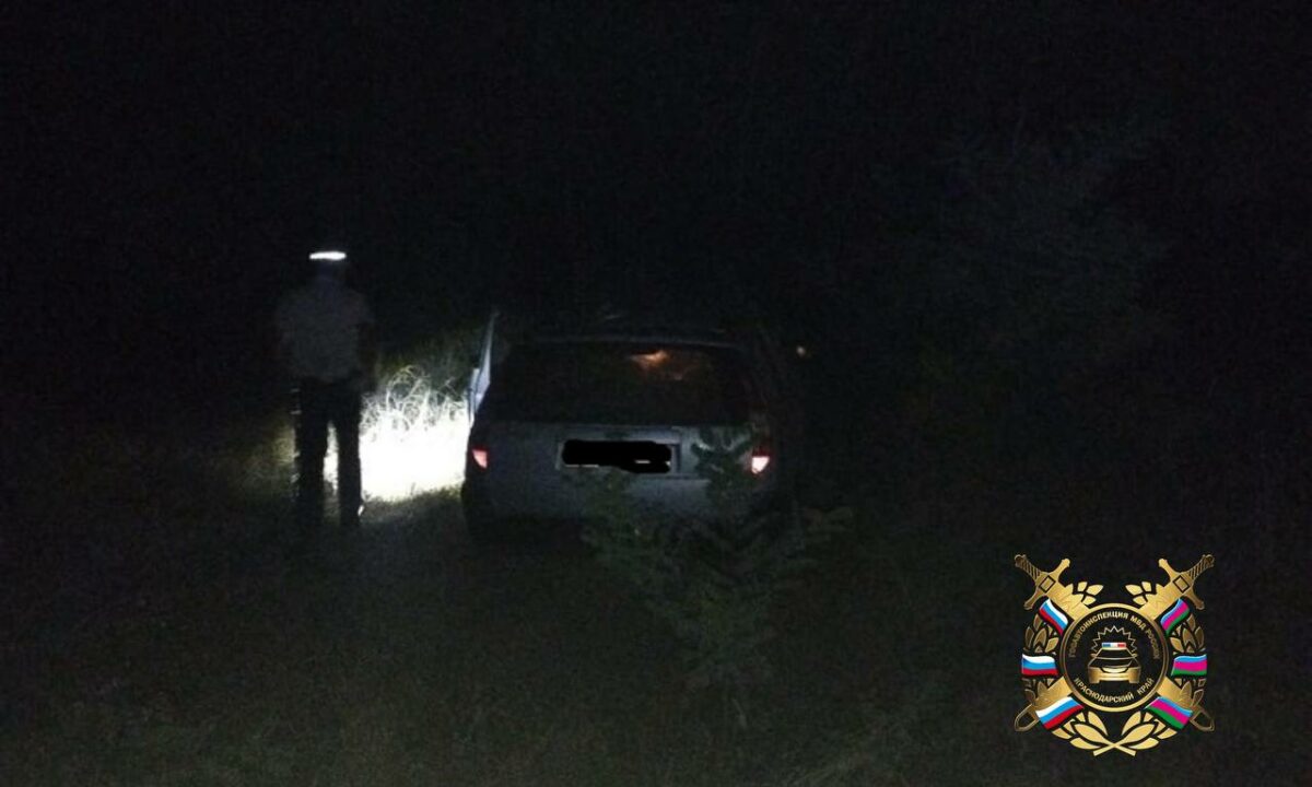 На Кубани иномарка снесла дорожный знак, пострадали две пенсионерки