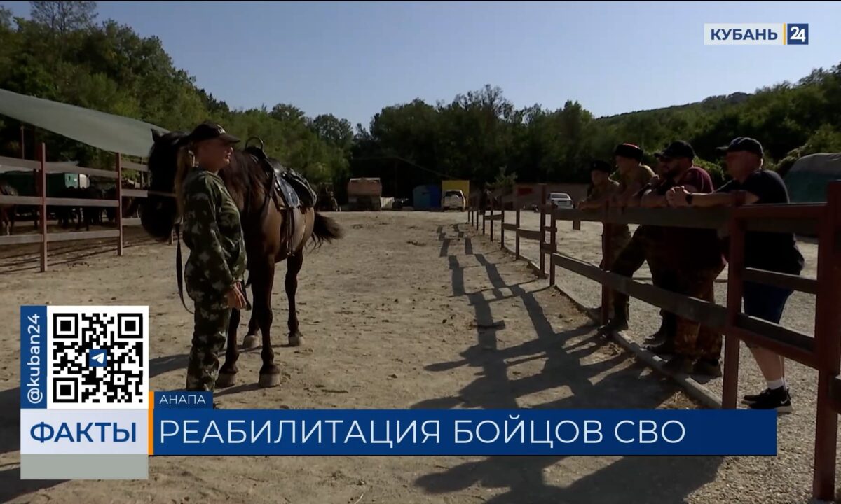 Реабилитацию через конные прогулки проводят для участников СВО в Анапе