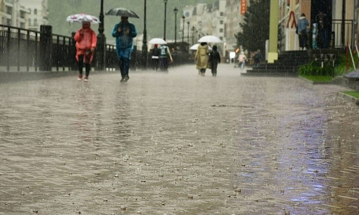 Шквалистый ветер, гроза и до +31 °C ожидаются 7 сентября на Кубани