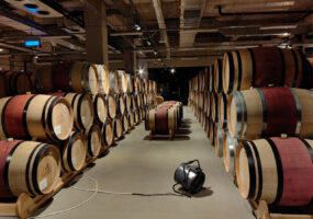 Краснодарский край стал лидером по числу посетителей виноделен в 2025 году